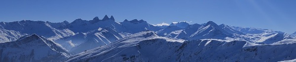 Gilles D.