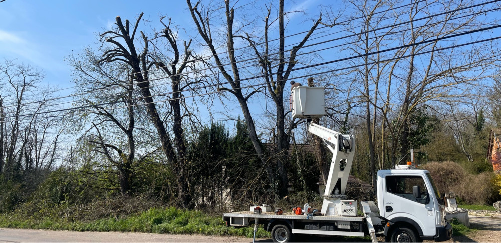 Tyson M. (Michelet, espace vert)