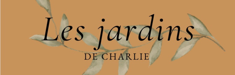 Charlie S.