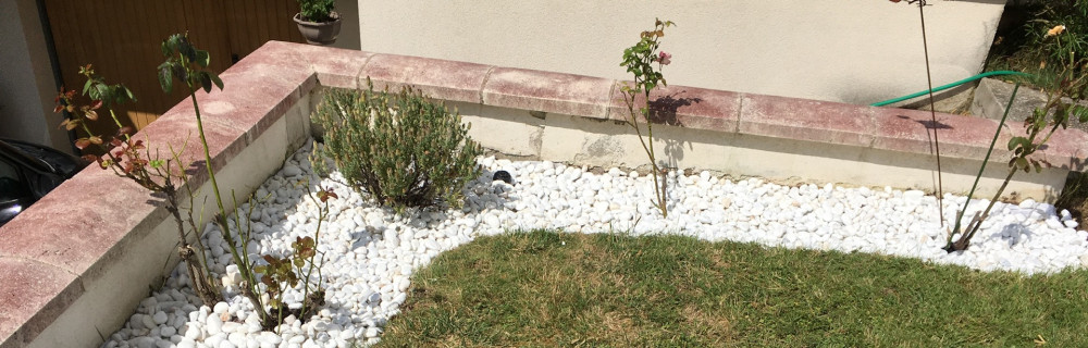 Dimitri W. (passion jardin)