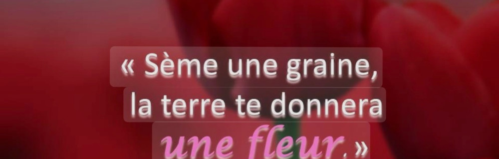 Hassiba B. (Entreprise iba)