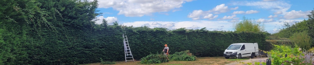 Franck Z. (ZELTZ et FILS)