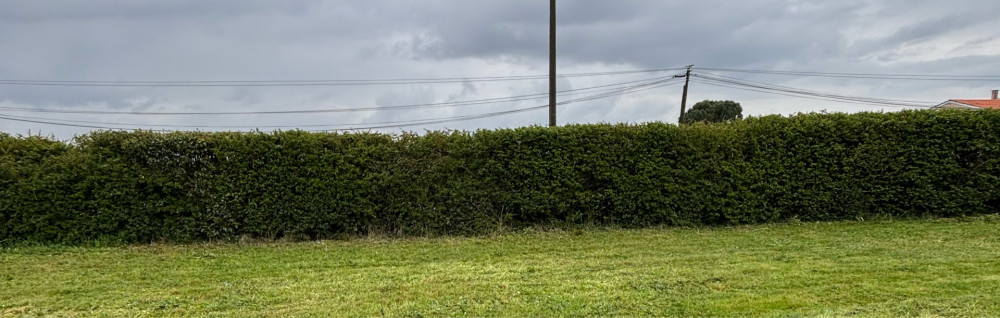 Sony H. (sony elagage)