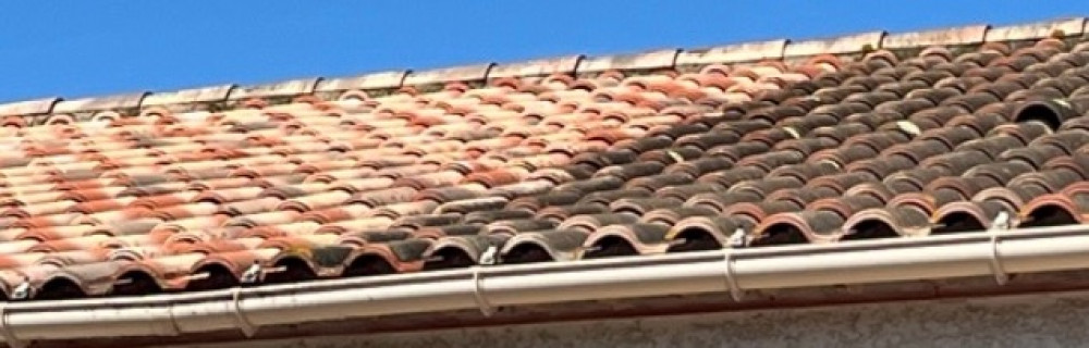 Chris D. (MDC.Couverture)