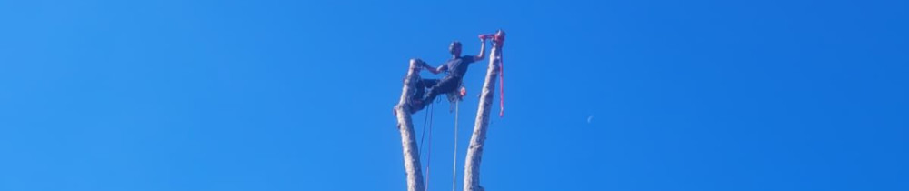 Quentin H. (Tarzan Elagage)