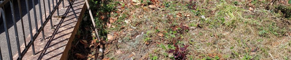 Justin S. (Justin services)