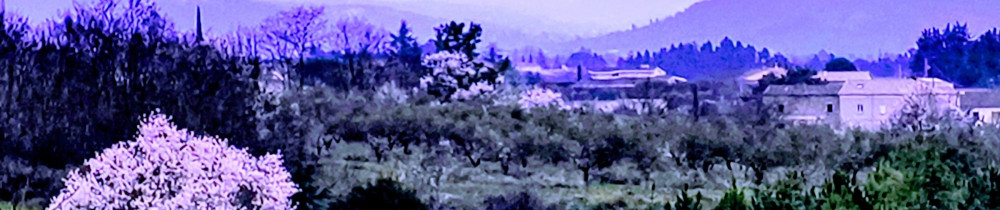 Theo D. (TD Multiservices)