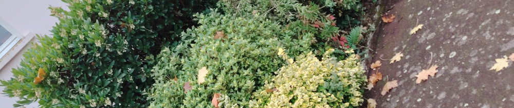 Dylan G. (Multiservices Gautier)