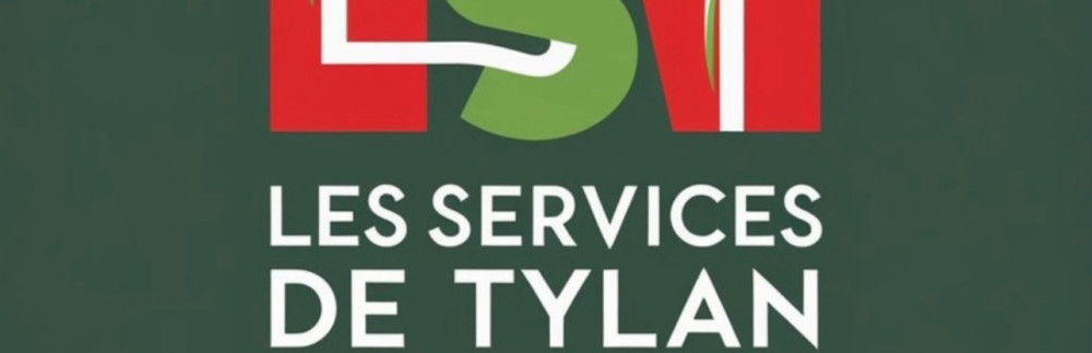 Fanomezantsoa R. (LES SERVICES DE TYLA...