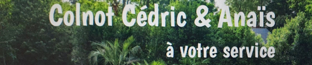 Cedric C. (c.cedric)