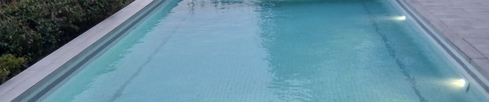 David L. (David Laudon)