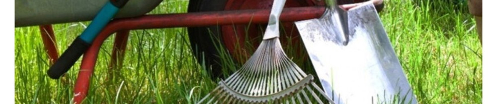 Taib D. (Espace vert Amboise)