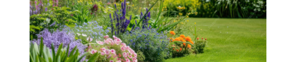 Nicolas R. (Fleur de Vie Paysages)