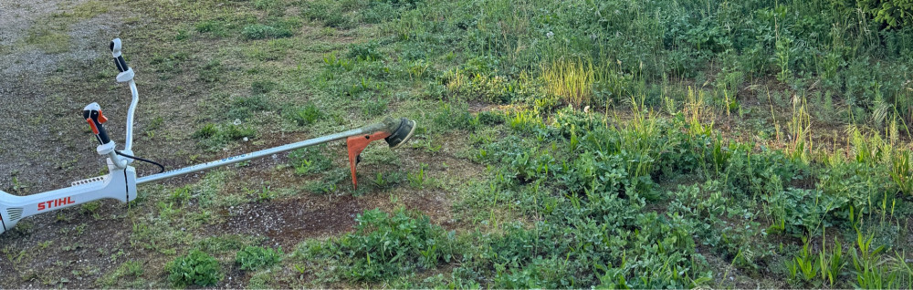 Paulin W. (Paulin Paysages)