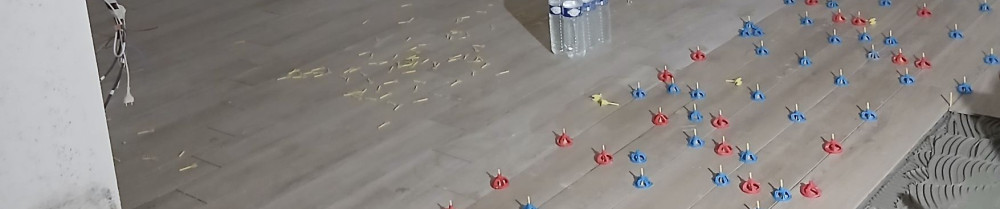 Carlos Alexandre Gomes De Arruda B. (G...