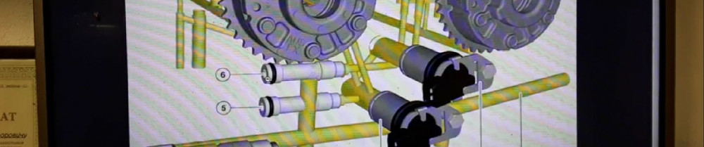 Ali B. (Ali B & All Services)