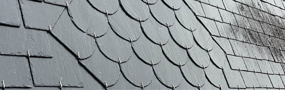 Alex P. (AP Multi Services)