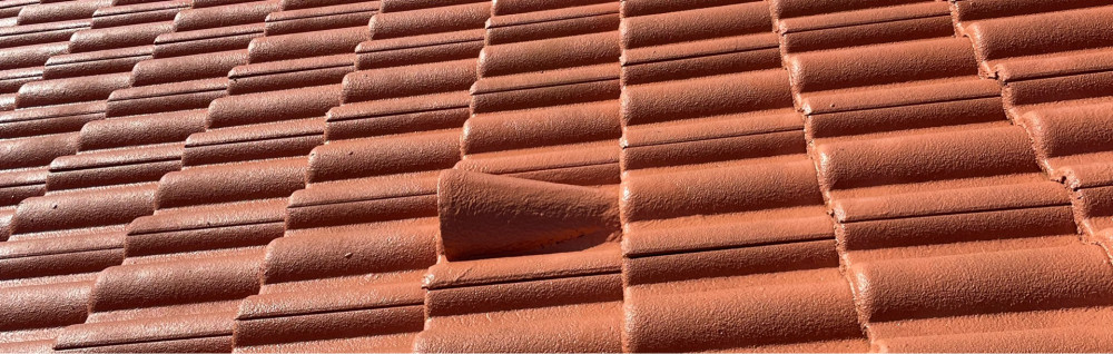 Steve F. (Fauvarque)