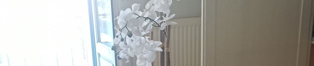 Séverine P. (exellence domestique)