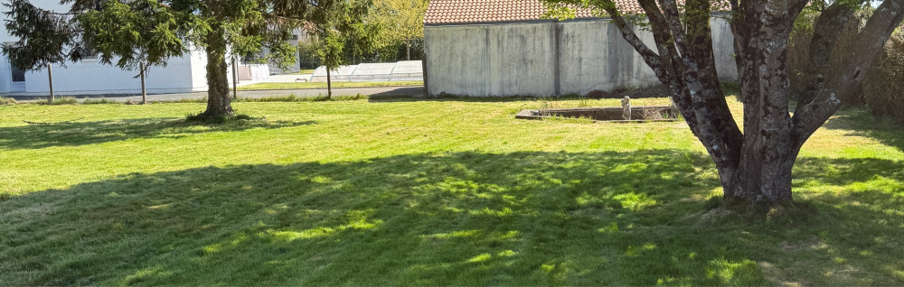 Hugo J. (Hug’o Vert)