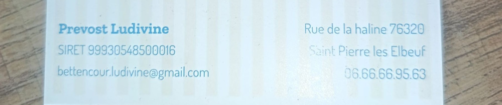 Ludivine P. (Llm Nettoyage)