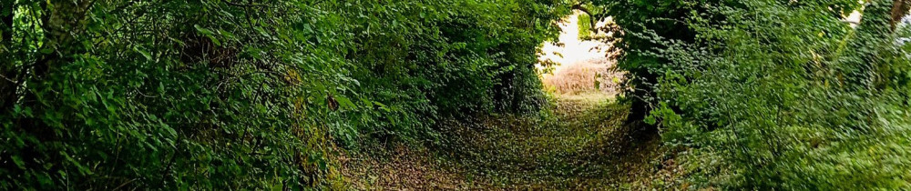 Jérôme A. (Multi-Services Du Jardin au...