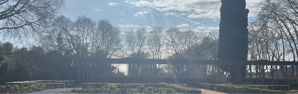 Sophia B. (Sophia Ben Bella)