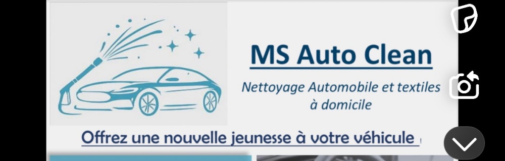 Michael S. (MS auto clean)