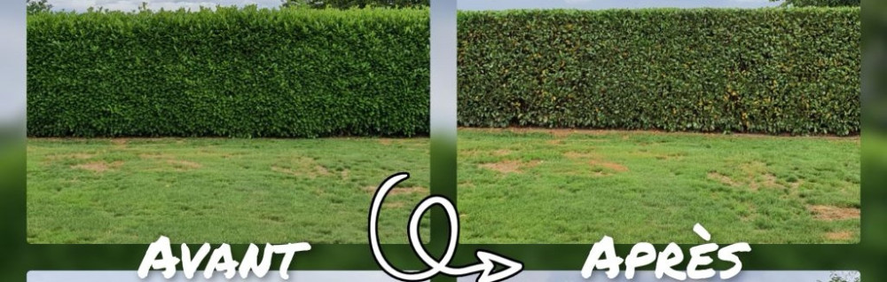 Tyson M. (M.T Paysagiste)