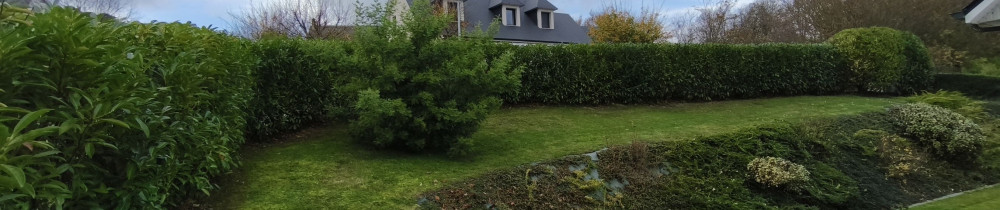 Nathan T. (TNS Paysage)