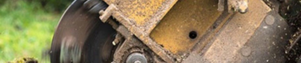 Bradley P. (Prunier Bradley)