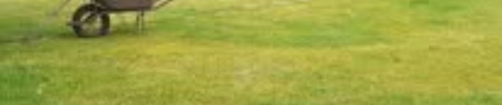 Frederic B. (bulens frederic)