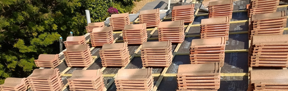 Fernandez M. (professionnel)