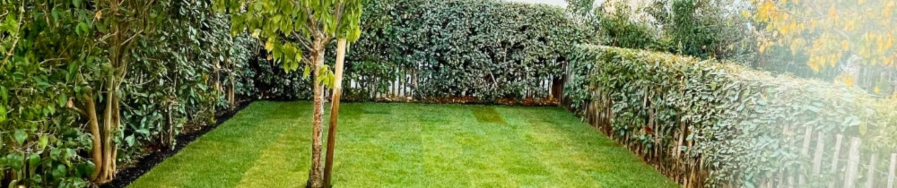 Ghislain P. (La petite graine)