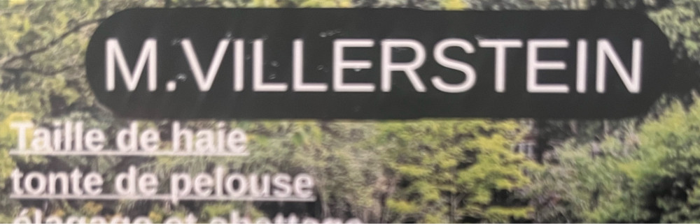 Gino V. (Gino Élagage)