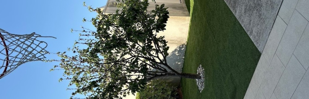 Dayron S. (Elagueur Jardinier Paysagis...