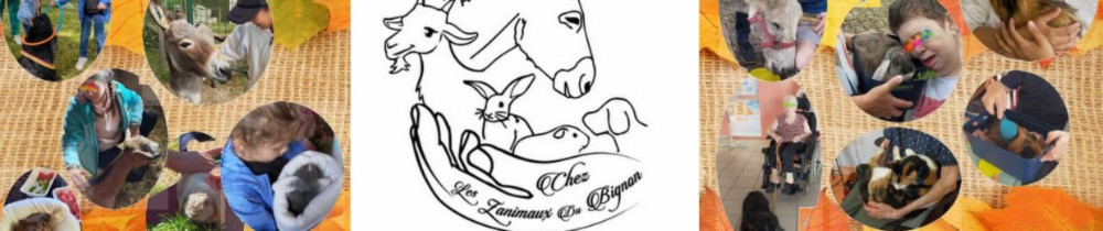 Isabelle C. (LesZanimauxduBignonMA)