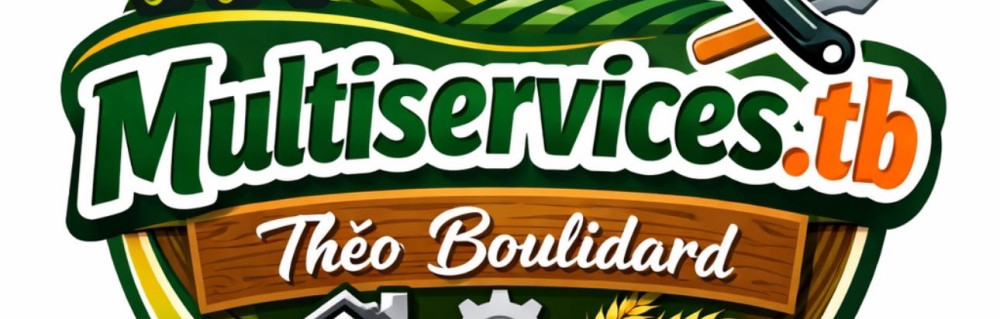 Theo T. (multiservice.tb)