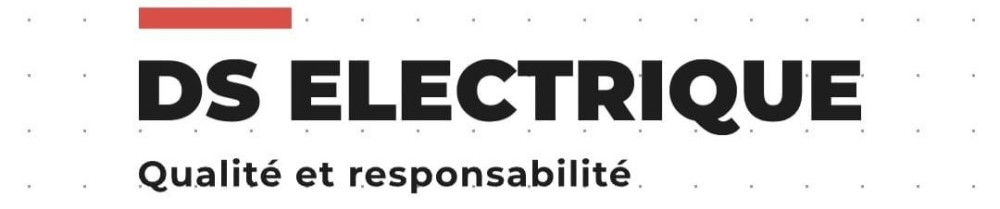 Sergio A. (DS Eletrique)