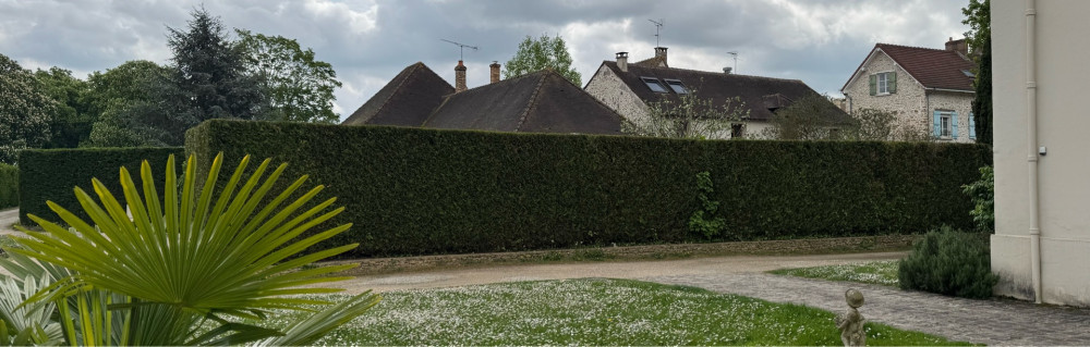 Theo R. (RF Services)