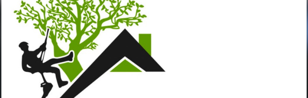 Logan M. (MensLogan)