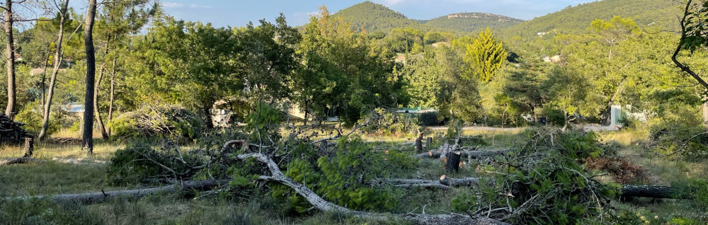 Geoffrey V. (VP JARDINS)