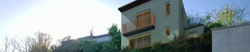 Swann V. (Swann Vallée Architecte)