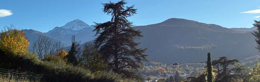 Antoine V. (ALM multi-fonction)