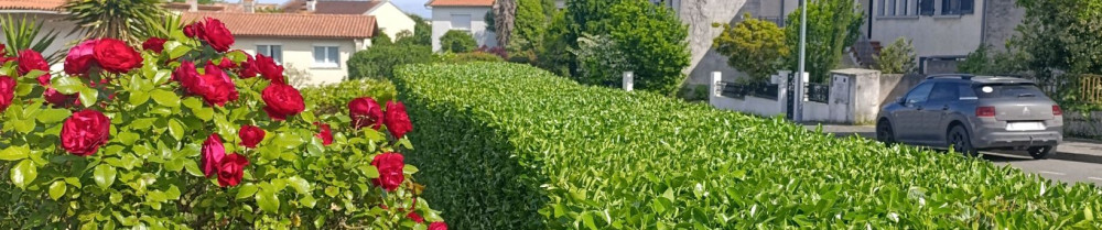 Buch'au N. (Buch'au naturel)