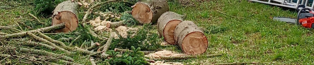 Peter D. (Peter Dubois)