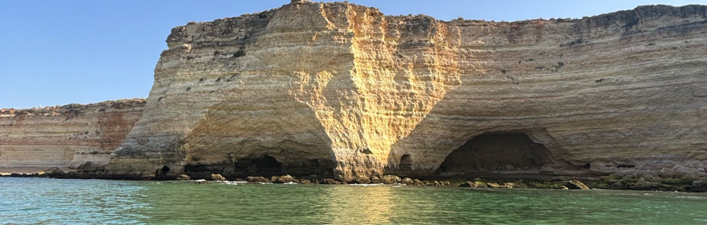 Alexia L. (Babysitting)