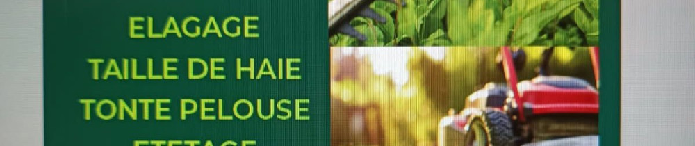 Messon R. (entreprise renard)