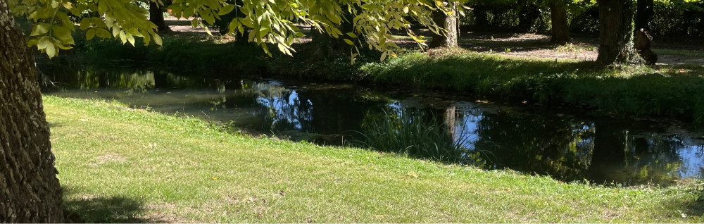 Christopher O. (ChristMultiServices)