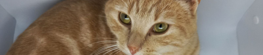 Célia J. (GardiDoux)